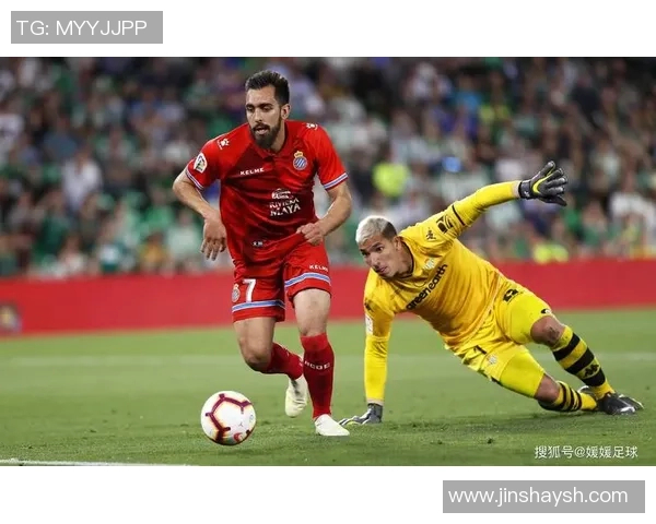 足球饼哥的传奇故事与足球梦想的追逐之旅